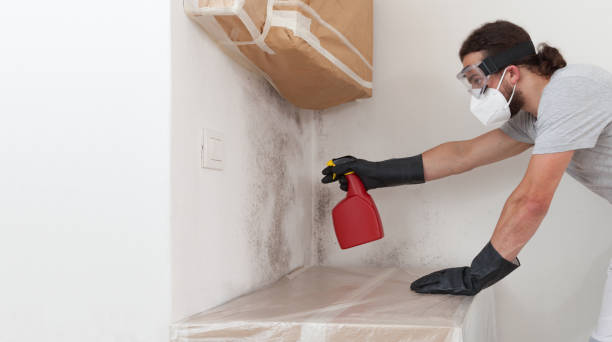 Professional Mold Inspection And Testing technician working in Harwood, MD